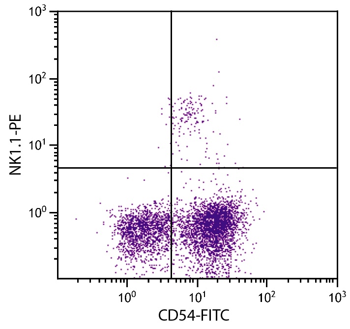 Icam1 Antibody (FITC)