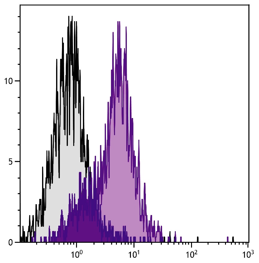 CD54 Antibody [YN1/1.7.4]