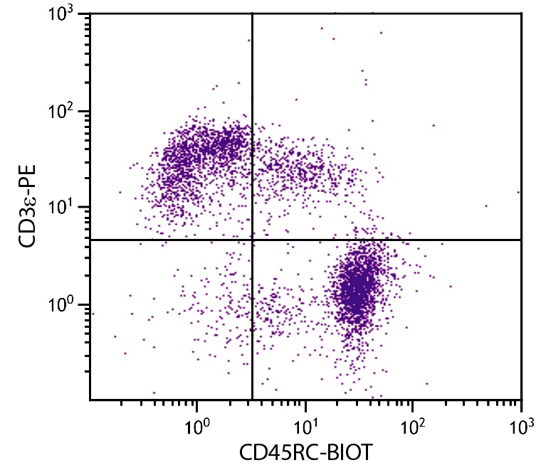 Ptprc Antibody (Biotin)