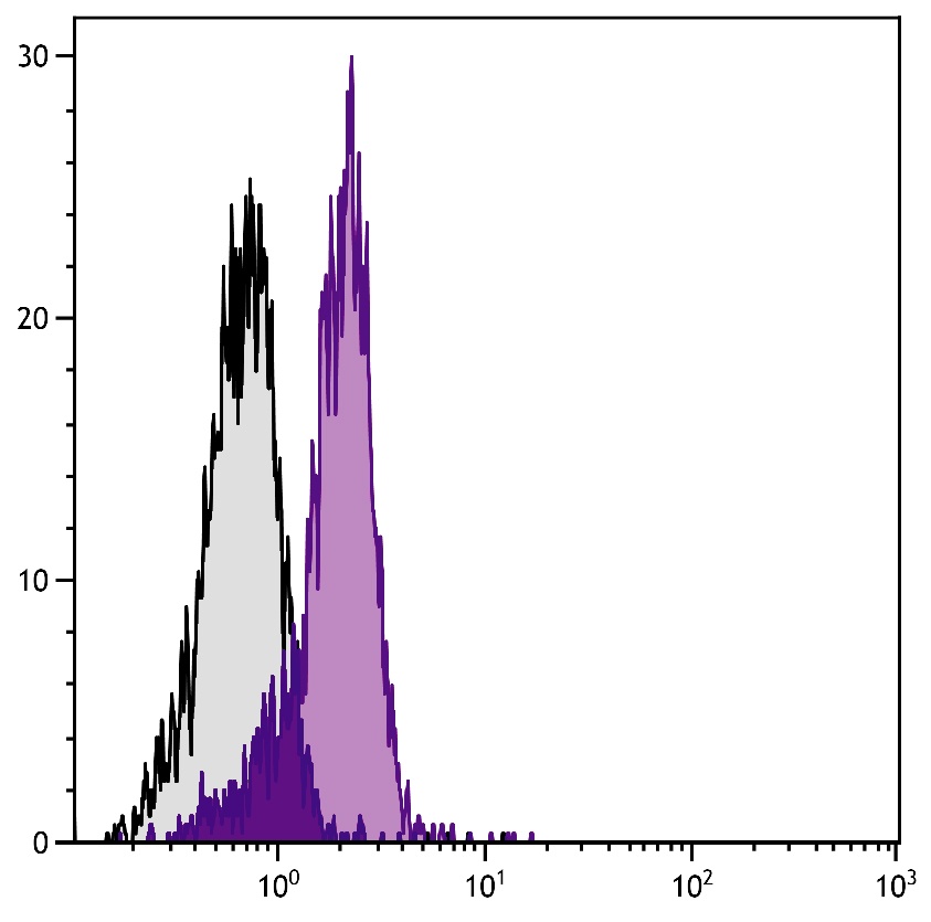 Pecam1 Antibody (FITC)