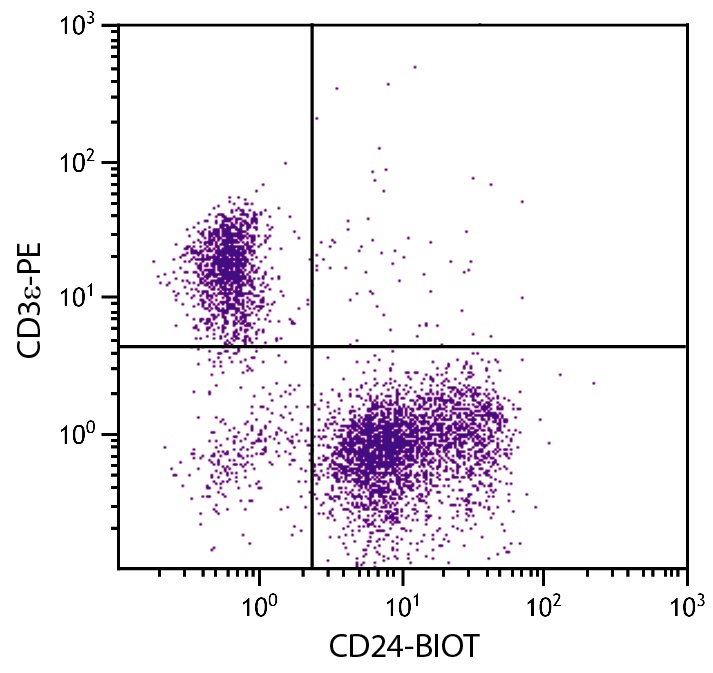 Cd24a Antibody (Biotin)