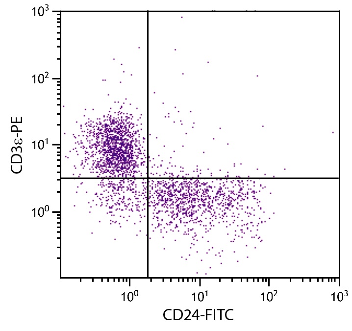 Cd24a Antibody (FITC)