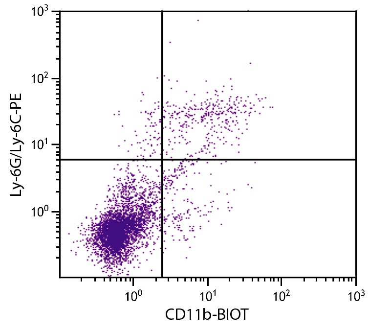 Itgam Antibody (Biotin)