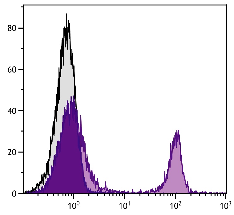 Cd4 Antibody