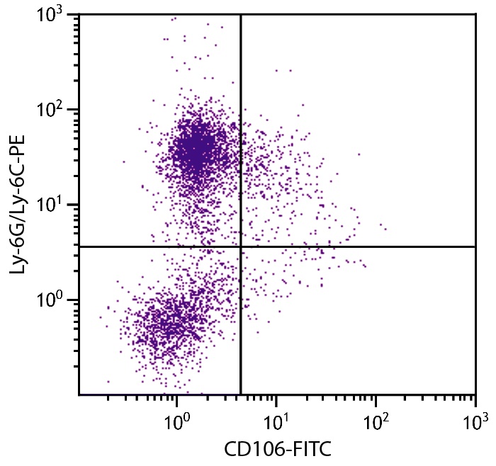 Vcam1 Antibody (FITC)