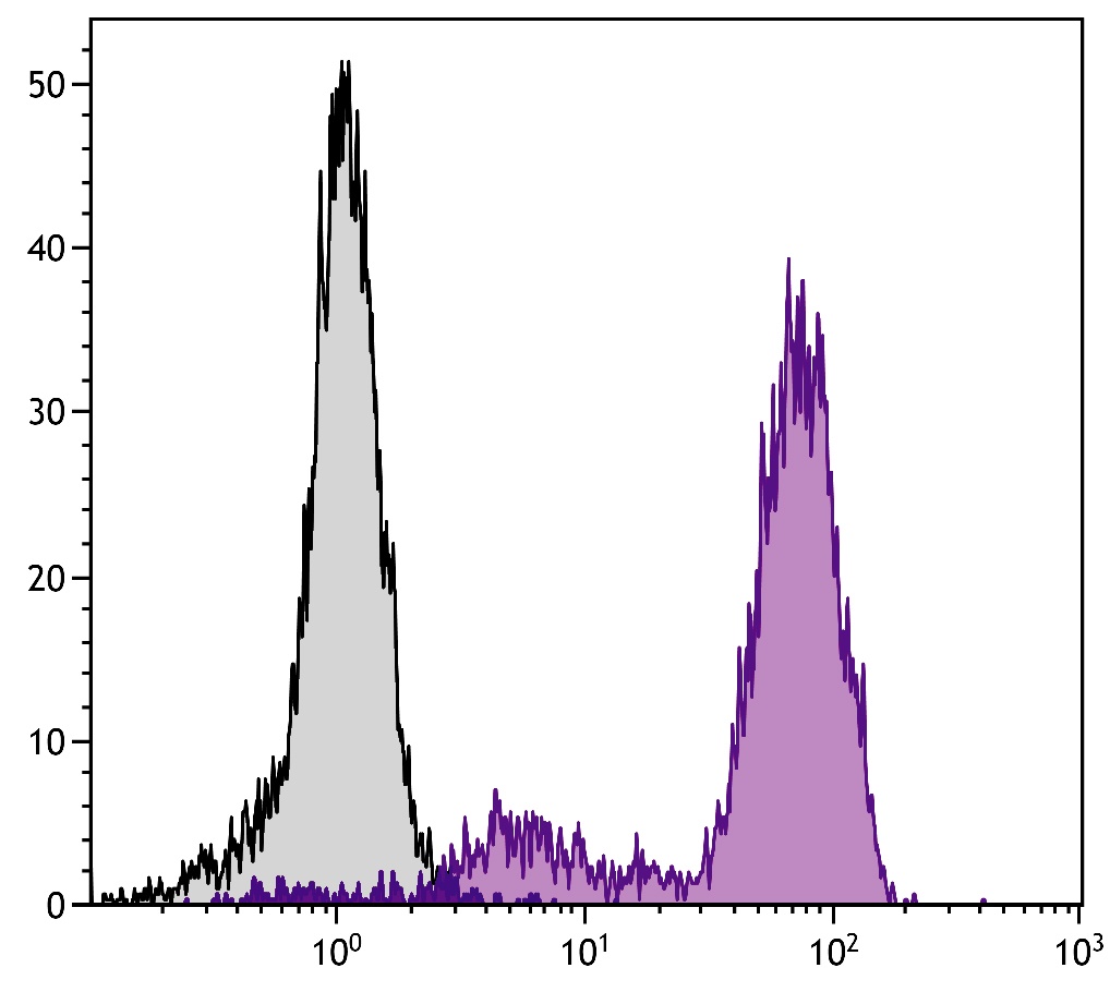 Cd44 Antibody (FITC)