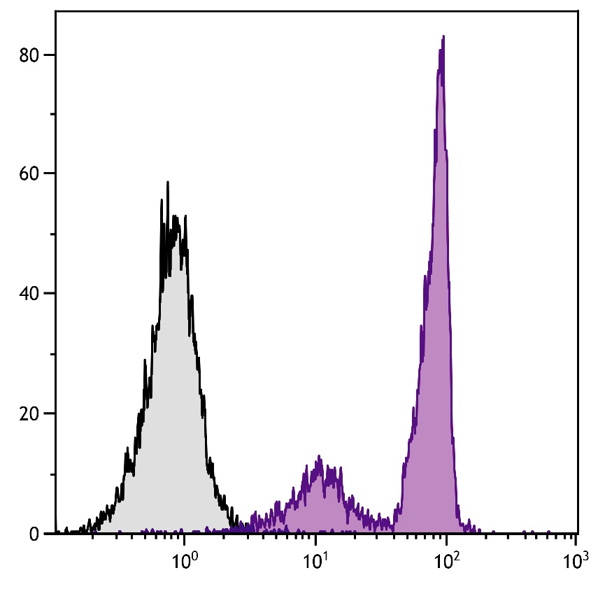 Cd44 Antibody