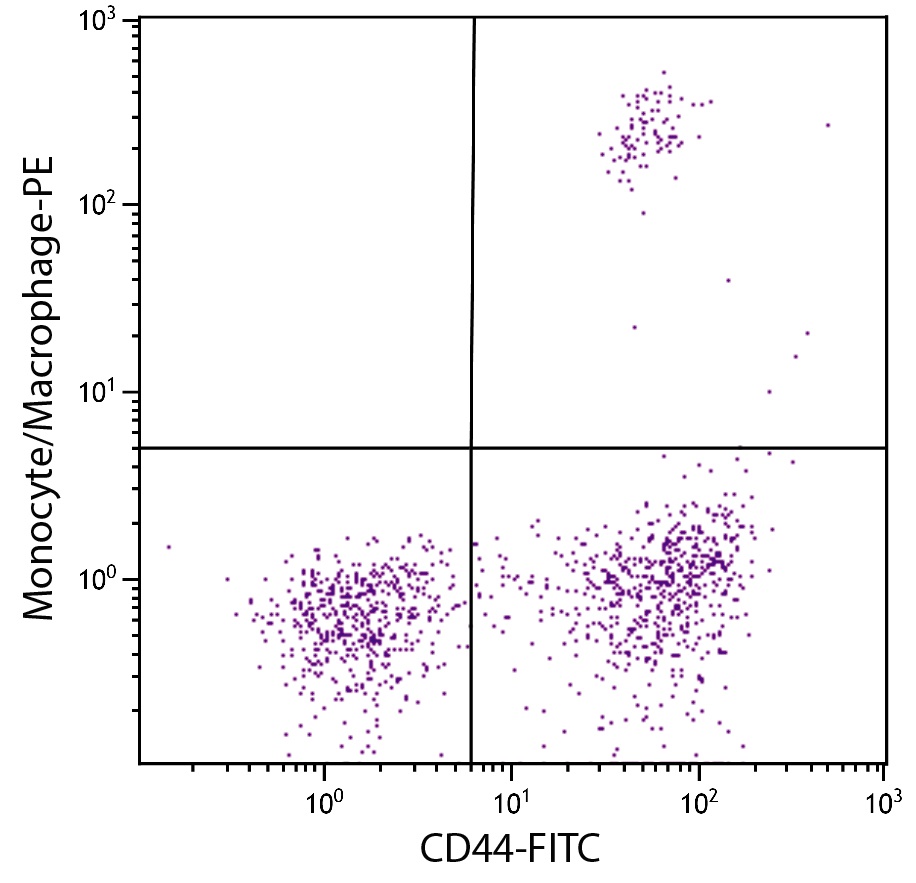 Monocyte/Macrophage Antibody [KUL01] (PE)