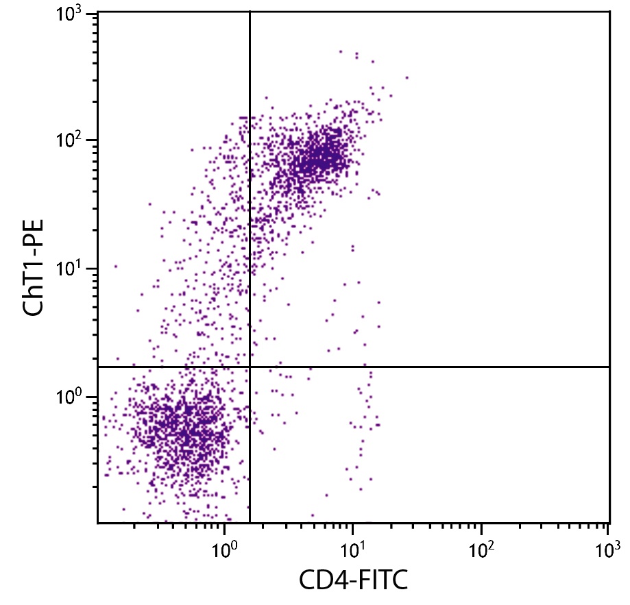 VSIG1 Antibody (PE)