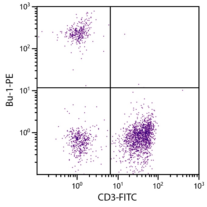 Bu-1 Antibody [AV20] (PE)