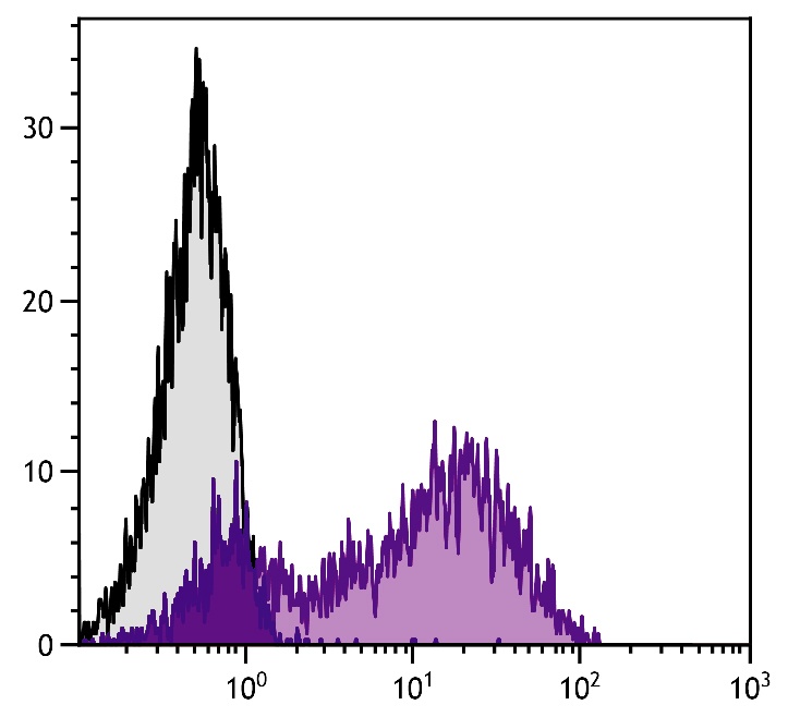 MCAM Antibody (PE)