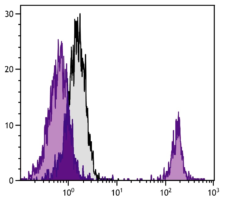 OC396098 Antibody (PE)