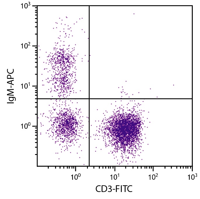 IgM Antibody [M-1] (APC)