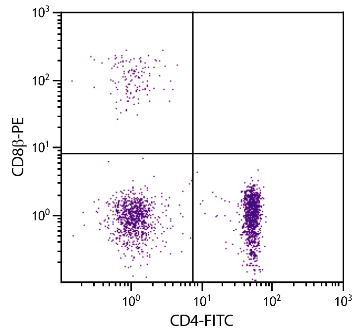 CD8B Antibody (PE)