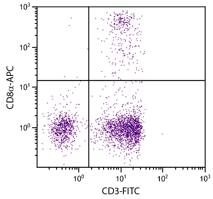CD8A Antibody (APC)