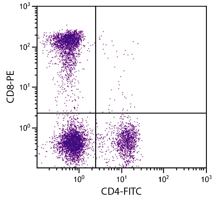 CD8B Antibody (PE)