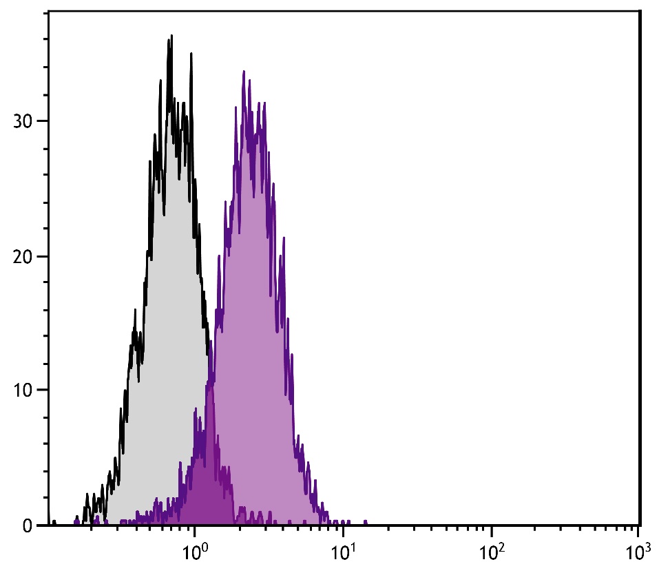 DR5 Antibody