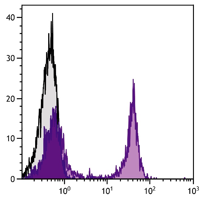 Biotin Antibody [SB58c] (PE)
