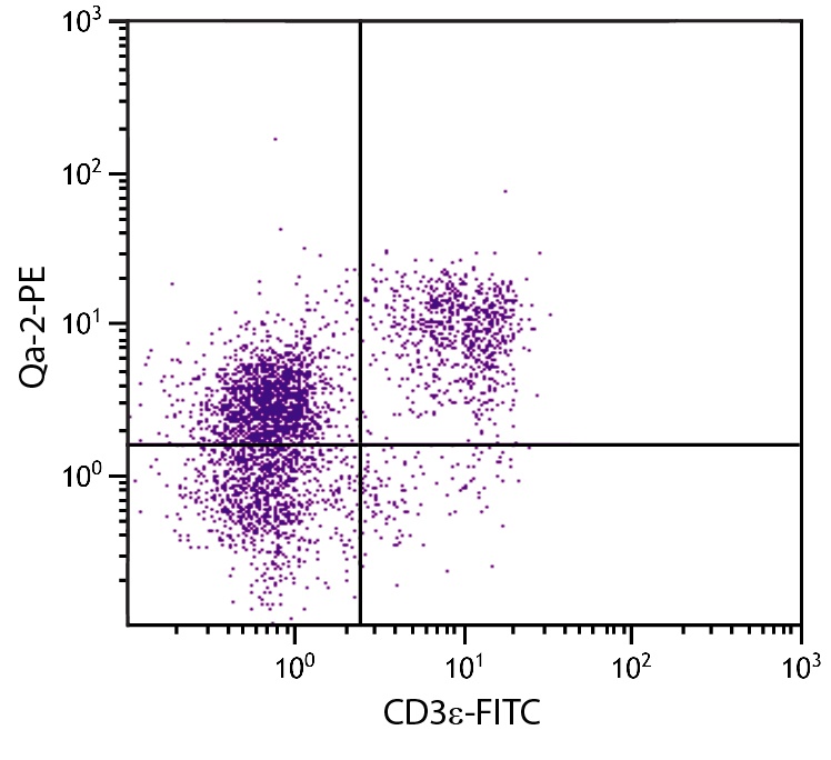 Qa2 Antibody (PE)