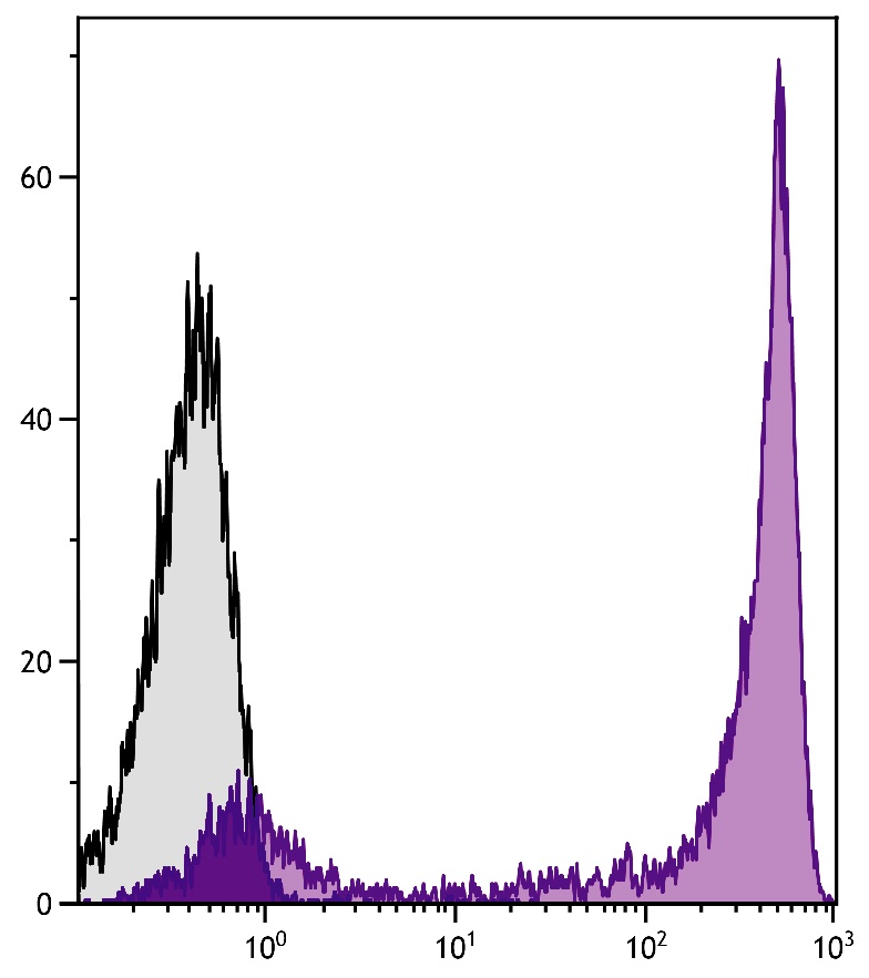 Ly6g Antibody (APC/Cy7)