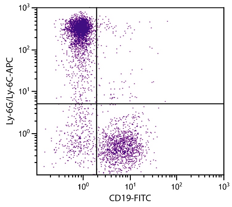 Ly6g Antibody (APC)