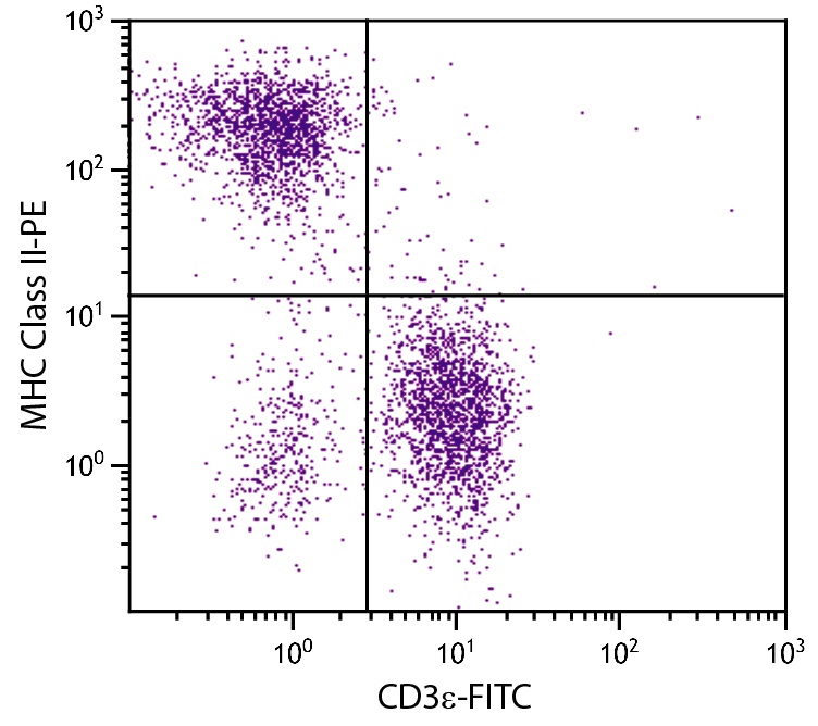 H2-Aa Antibody (PE)
