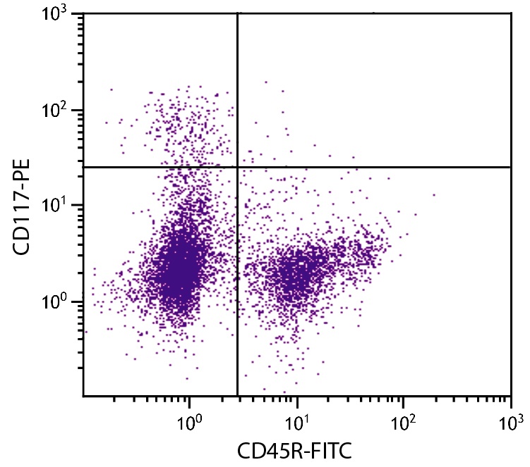 Kit Antibody (PE)