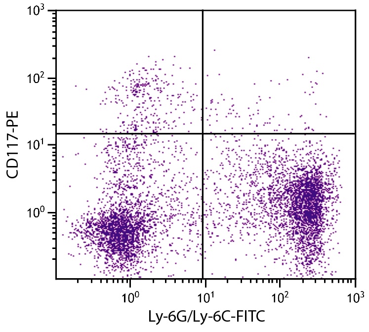 Kit Antibody (PE)