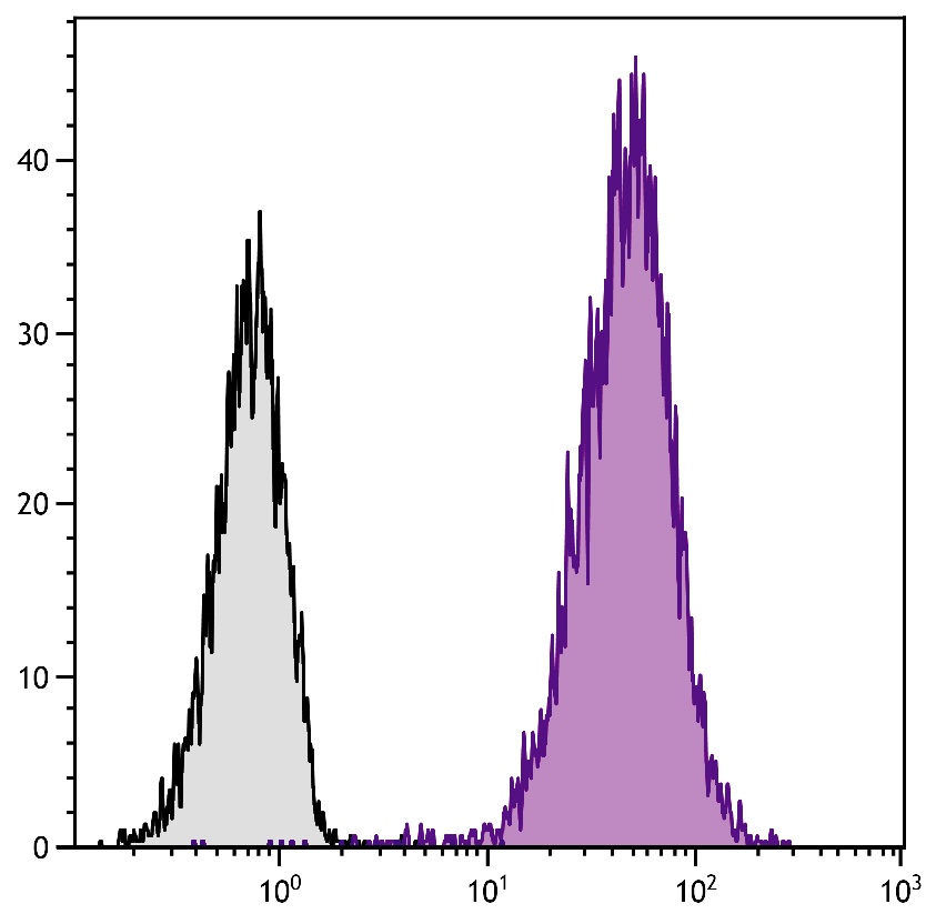 Cd81 Antibody (APC)