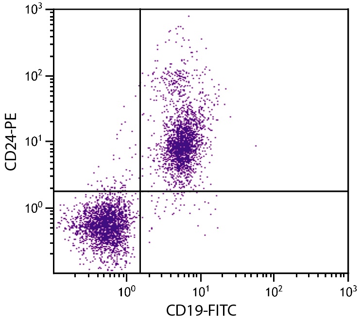 Cd24a Antibody (PE)