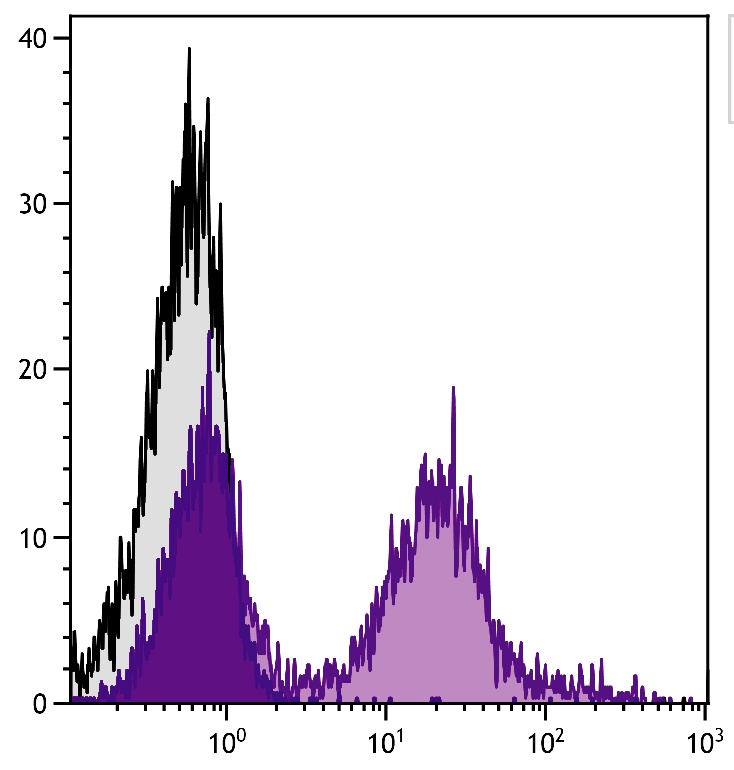 Cd24a Antibody (PE)