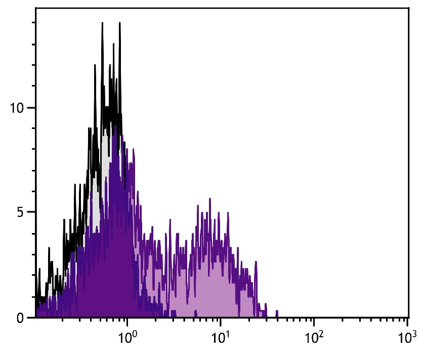 Klrg1 Antibody (PE)