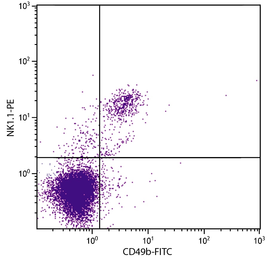 Klrb1c Antibody (PE)