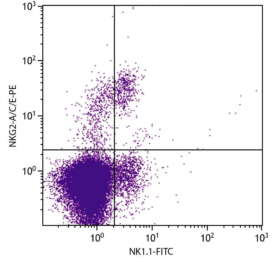 Klrc1 Antibody (PE)