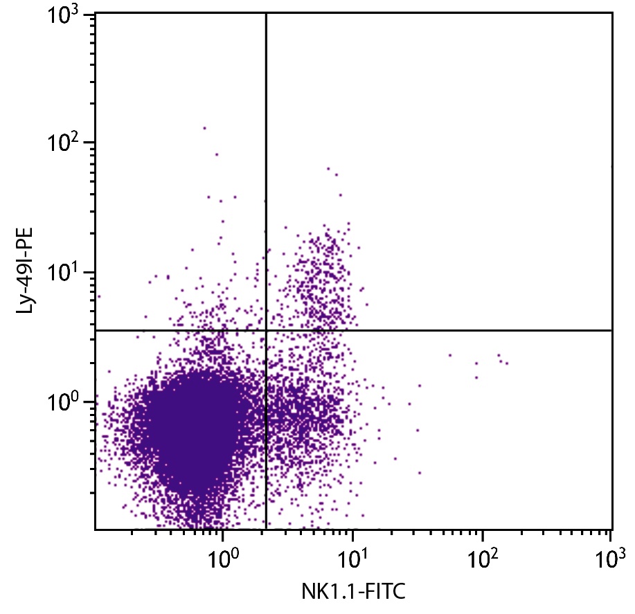 Klra9 Antibody (PE)