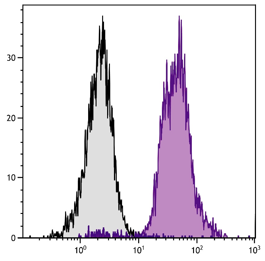 Ptprc Antibody (APC)