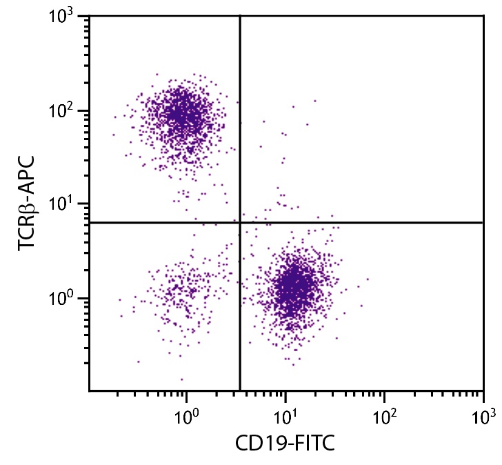 Tcrb Antibody (APC)