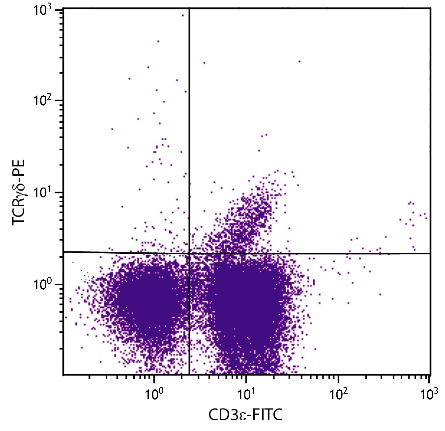 Tcrd Antibody (PE)