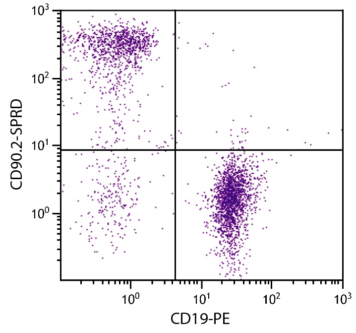 Thy1 Antibody (PE/Cy5)