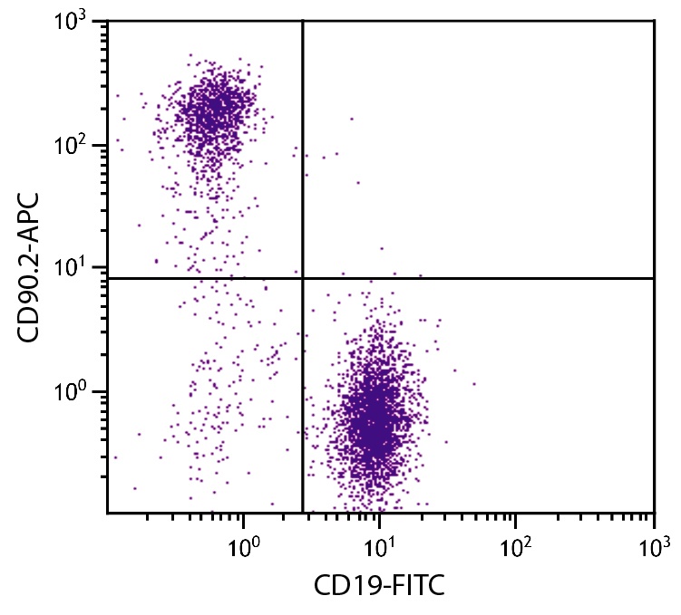 Thy1 Antibody (APC)