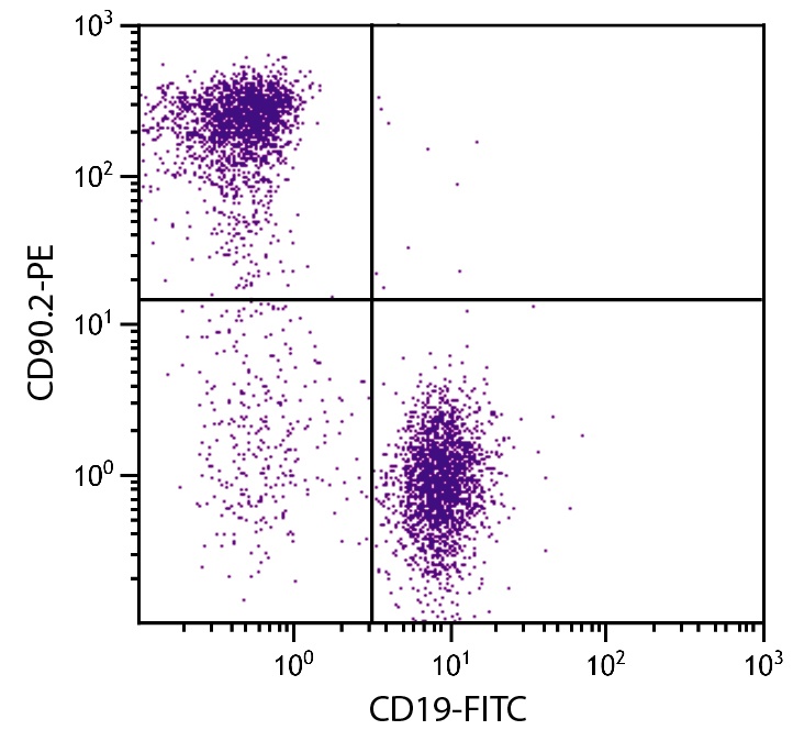 Thy1 Antibody (PE)