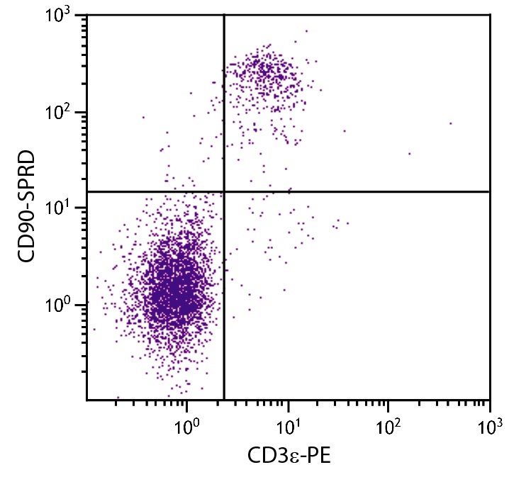 Thy1 Antibody (PE/Cy5)