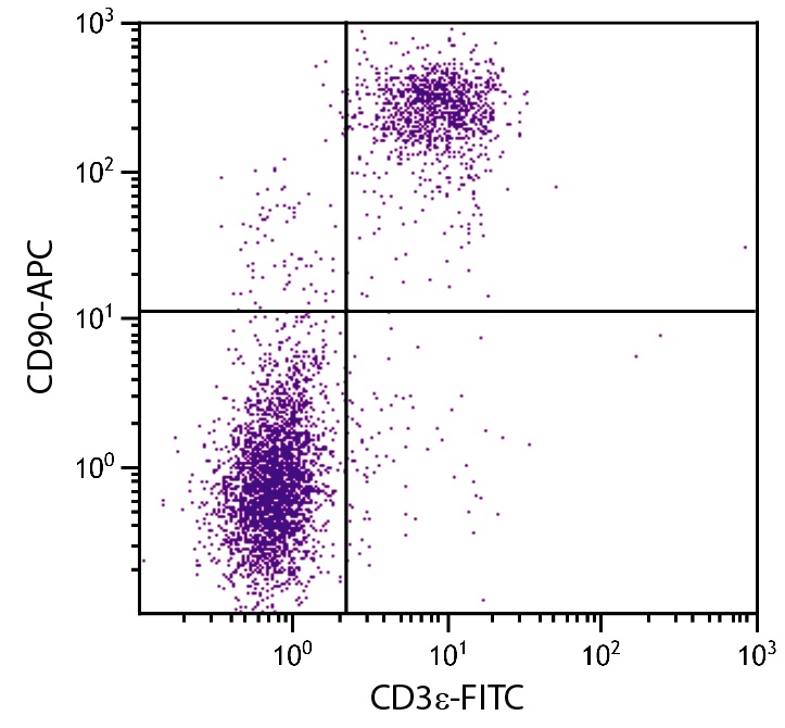 Thy1 Antibody (APC)