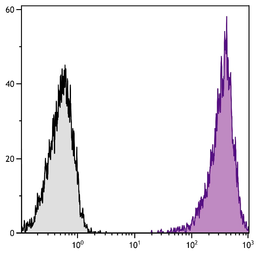 Cd86 Antibody (PE/Cy7)