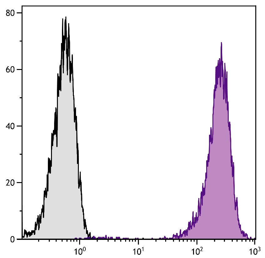 Cd86 Antibody (APC)