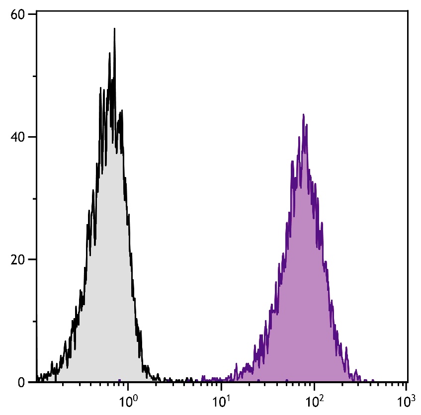 Cd80 Antibody (APC)