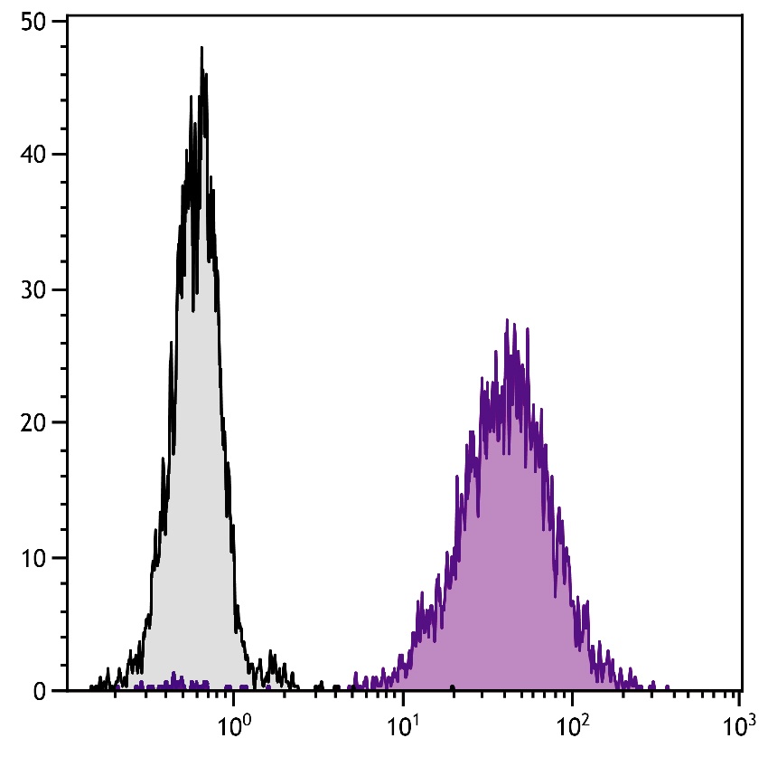 Cd80 Antibody (PE)