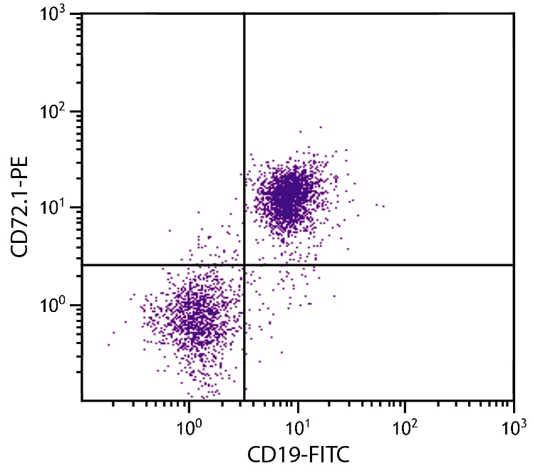 Cd72 Antibody (PE)