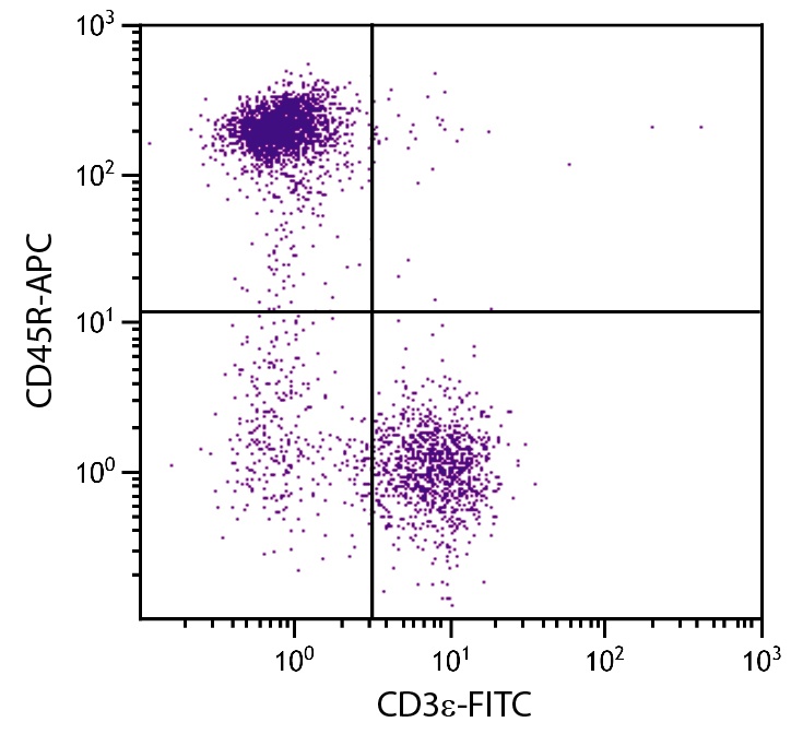 Ptprc Antibody (APC)