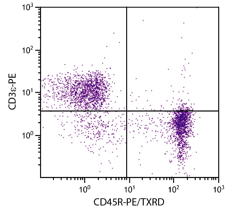 Ptprc Antibody (PE/Texas Red)
